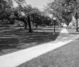 berm jaywalker