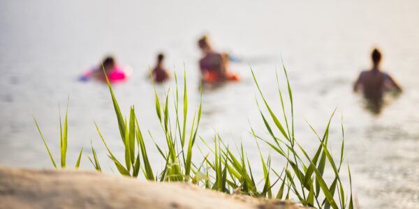 Jersey Shore Deaths Underscore Need for Water Safety as Summer Winds Down 10 The August 2025 deaths of a teenage swimmer in Belmar and a man swimming at Seaside Heights underscore the need for water safety, even as summer winds down.