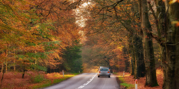 Fall is New Jersey’s Riskiest Season To Drive: How to Stay Safe 8 A recent study by Carfax shows that the most dangerous season on New Jersey roads isn’t winter. It’s fall.